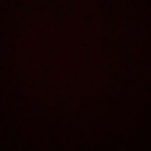 Meet your Posher, Lenny